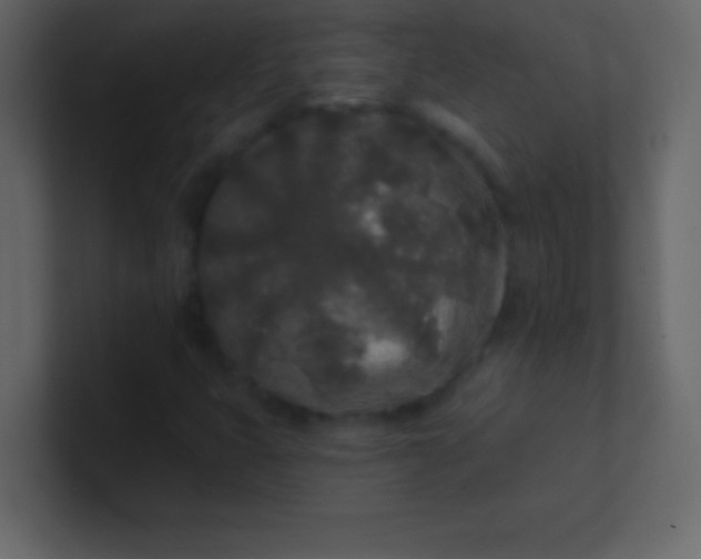 X0000100841399200807070923