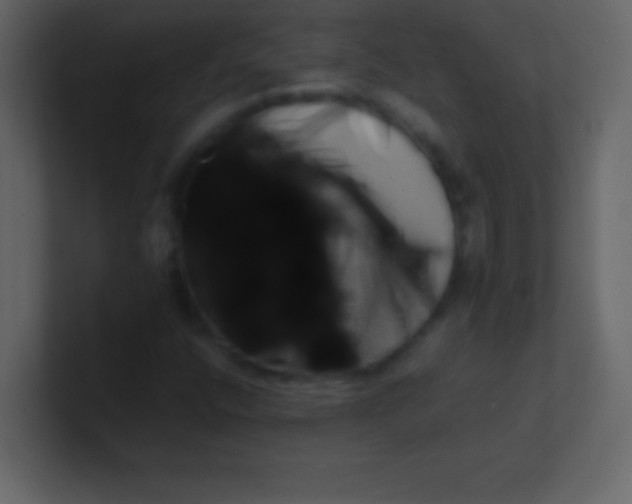 X0000100841400200807070923