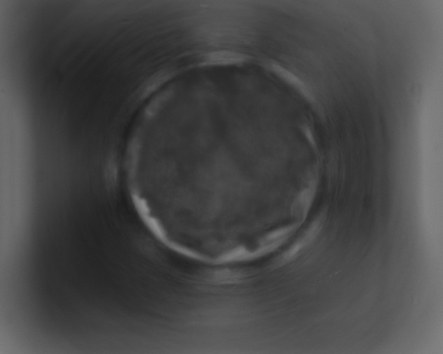 X0000100841401200807070923