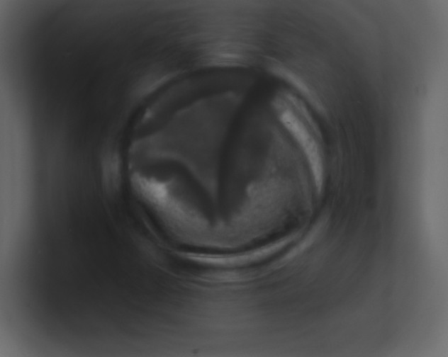 X0000100841402200807070923