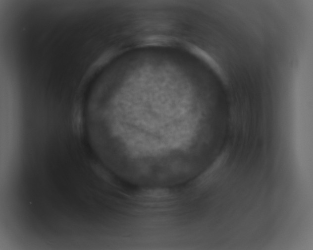 X0000100841403200807070923