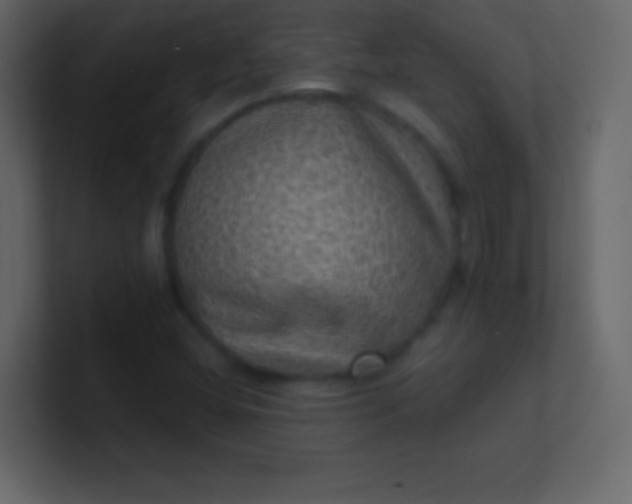 X0000100841404200807070923