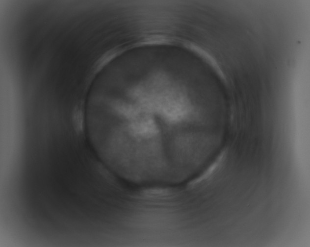 X0000100841409200807070923