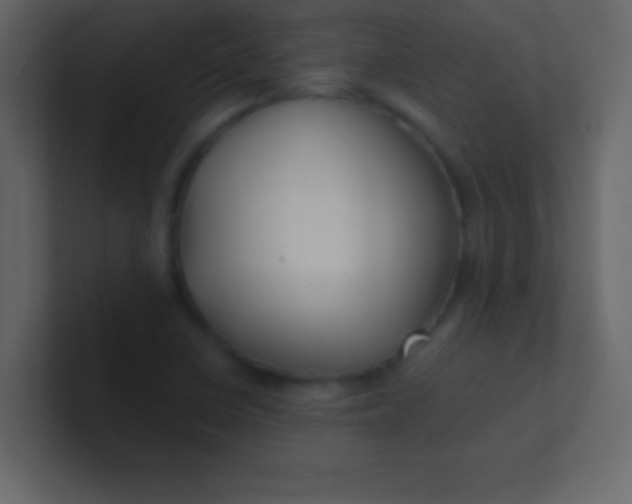 X0000100841410200807070923