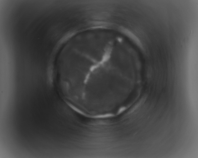 X0000100841411200807070923