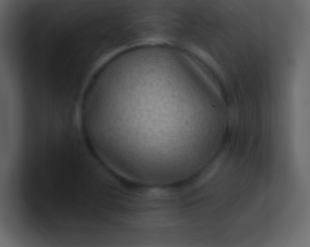 X0000100841412200807070923