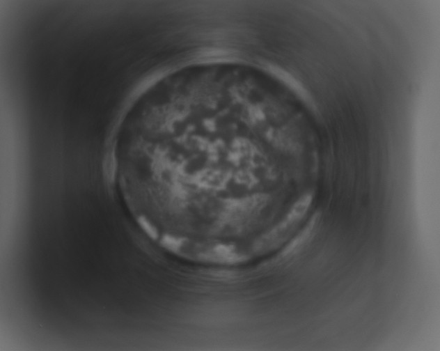 X0000100841413200807070923