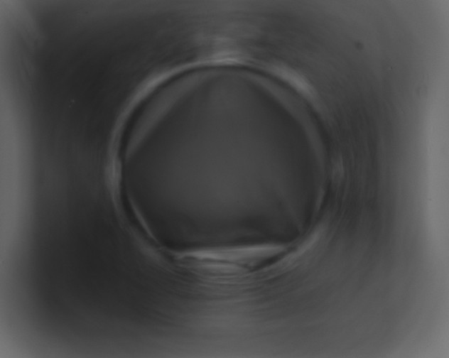 X0000100841414200807070923