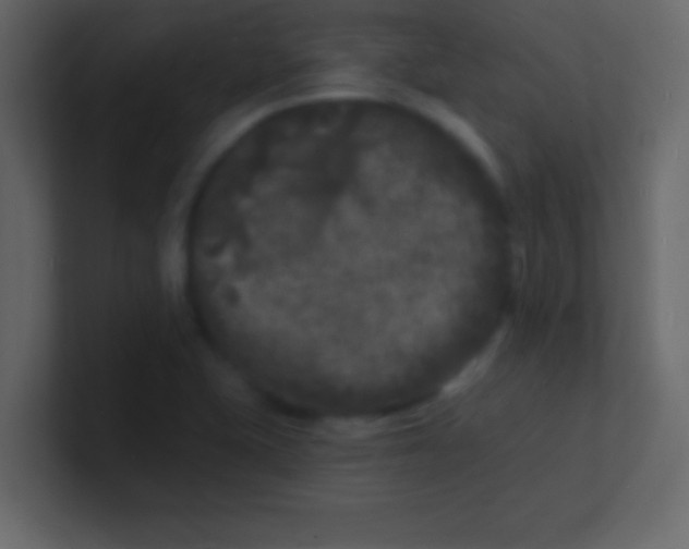 X0000100841415200807070923