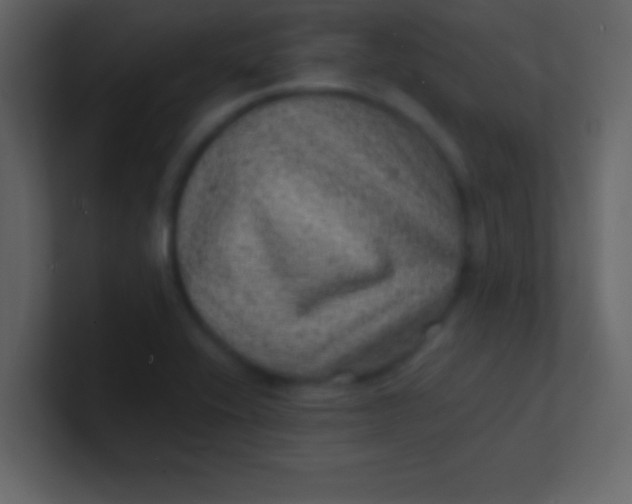 X0000100841416200807070923