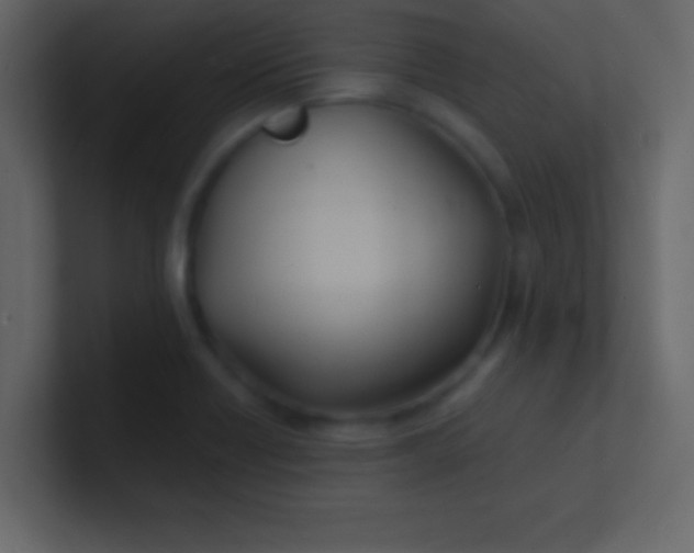 X0000100841418200807070923