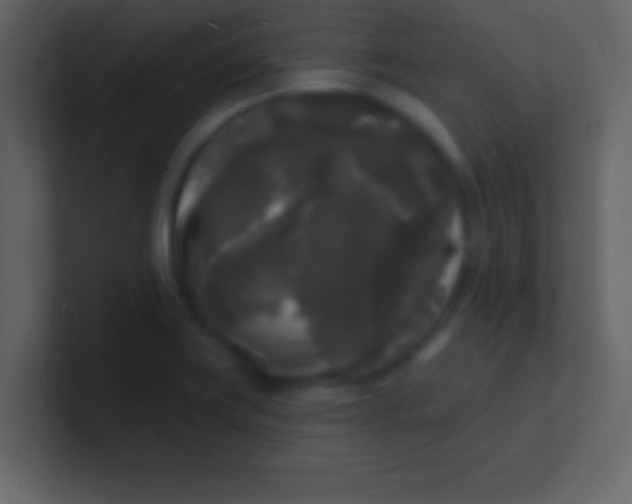 X0000100841419200807070923