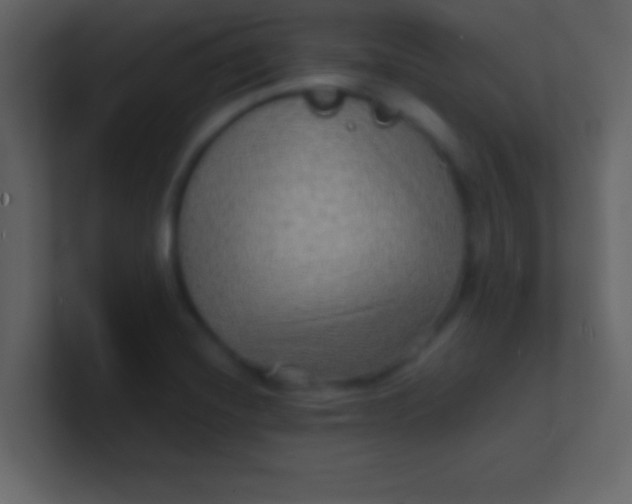 X0000100841420200807070923