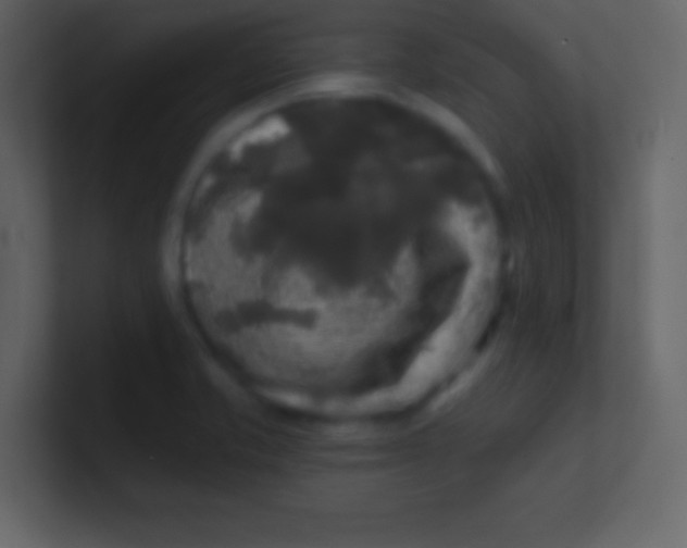 X0000100841421200807070923