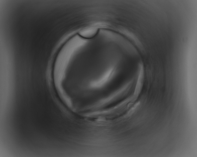 X0000100841422200807070923