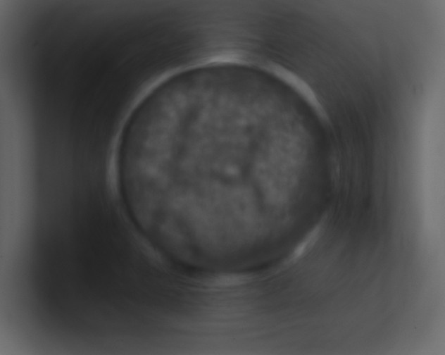 X0000100841423200807070923