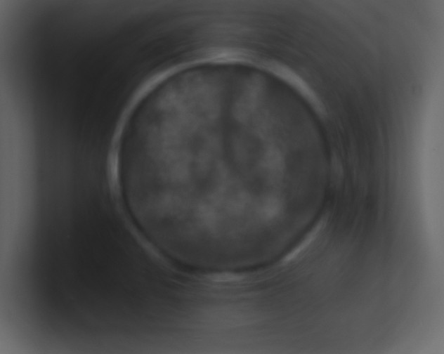 X0000100841424200807070923