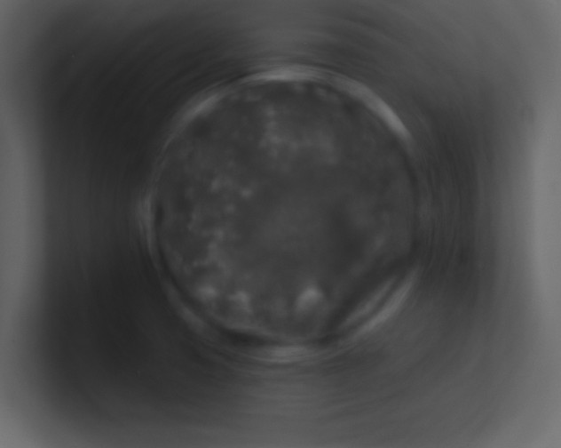 X0000100841425200807070924