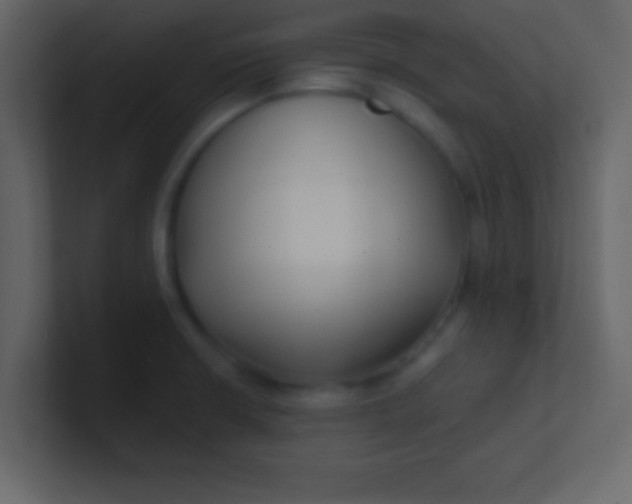 X0000100841426200807070924