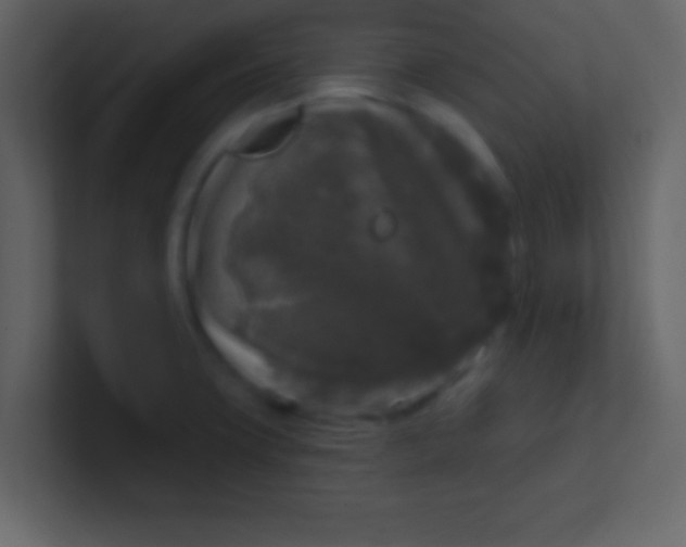 X0000100841427200807070924