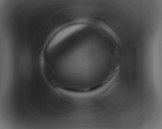 X0000100841428200807070924