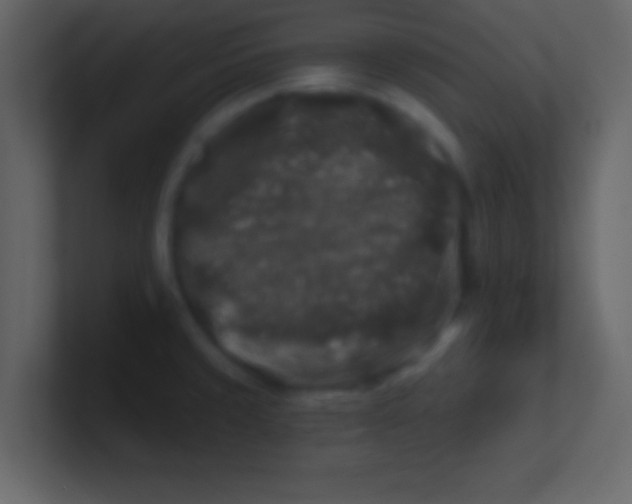 X0000100841429200807070924