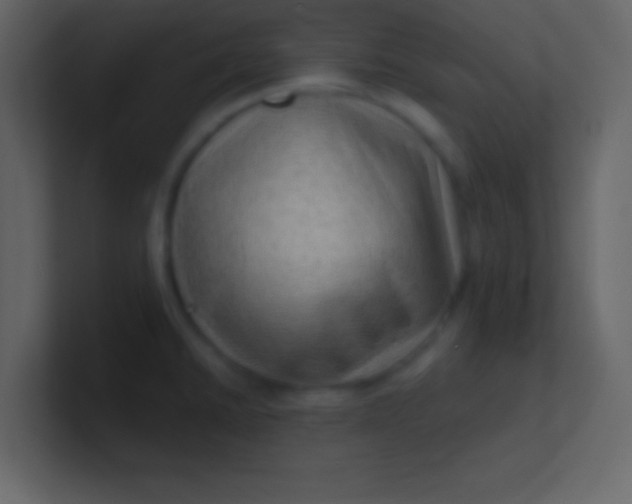 X0000100841430200807070924