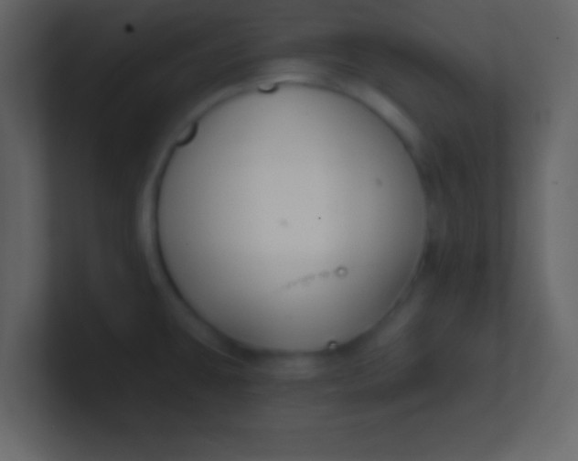 X0000100841431200807070924