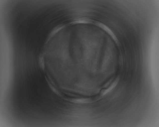 X0000100841433200807070924