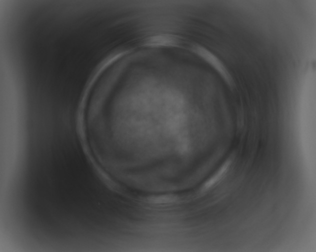 X0000100841434200807070924