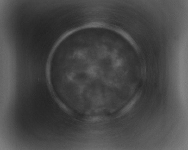 X0000100841438200807070924