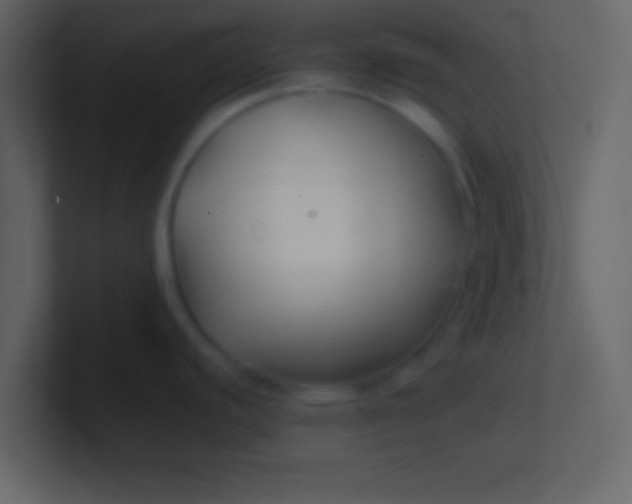 X0000100841440200807070924