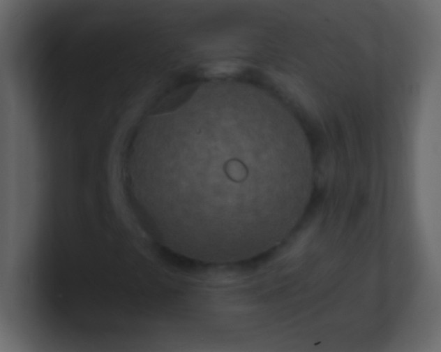 X0000100841441200807070923