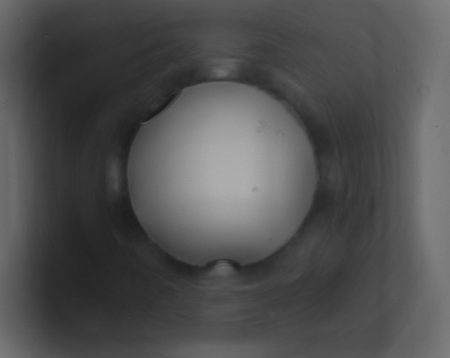 X0000100841442200807070923