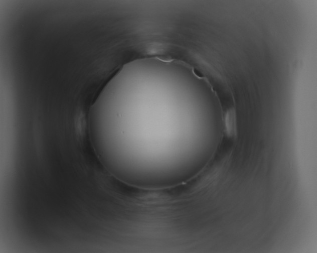 X0000100841443200807070923