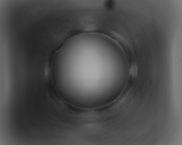 X0000100841444200807070923