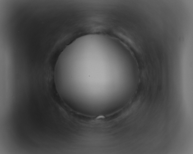 X0000100841447200807070923