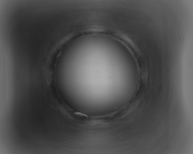 X0000100841448200807070923