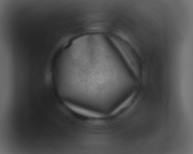 X0000100841450200807070923