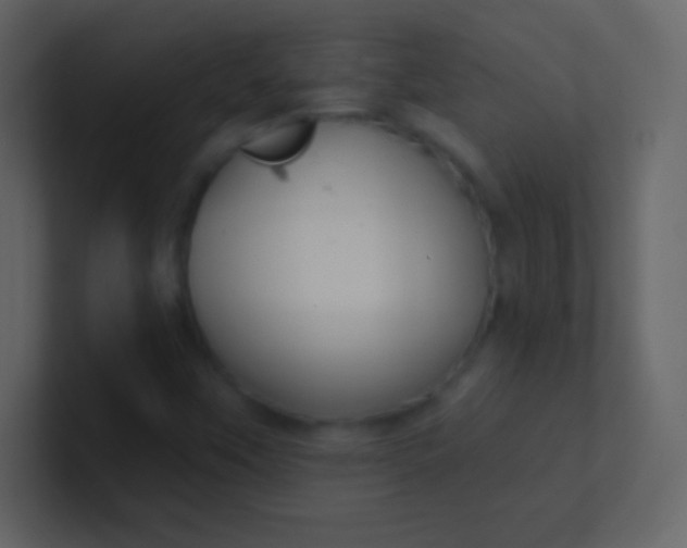 X0000100841451200807070923