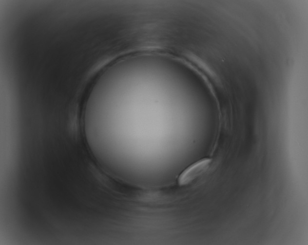 X0000100841452200807070923