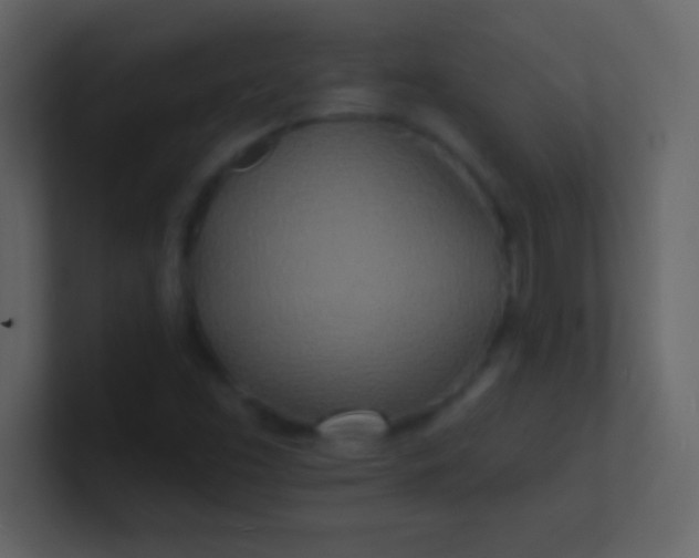 X0000100841453200807070923