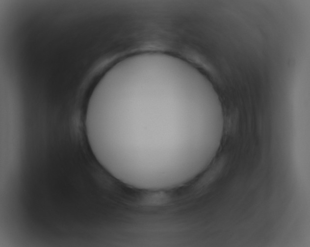 X0000100841454200807070923