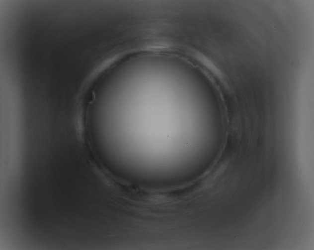 X0000100841456200807070923