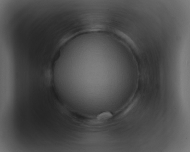 X0000100841457200807070923