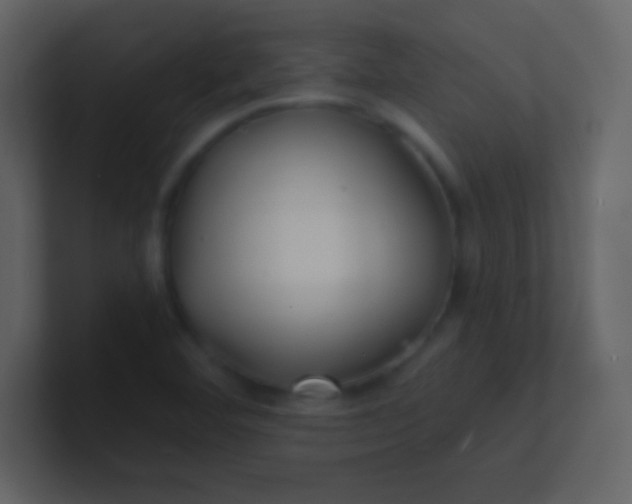 X0000100841460200807070923