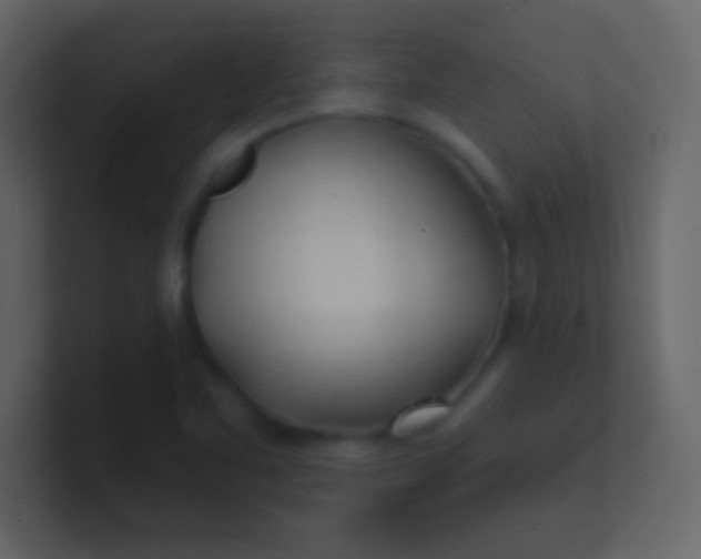 X0000100841461200807070923