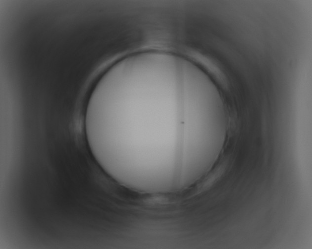 X0000100841462200807070923