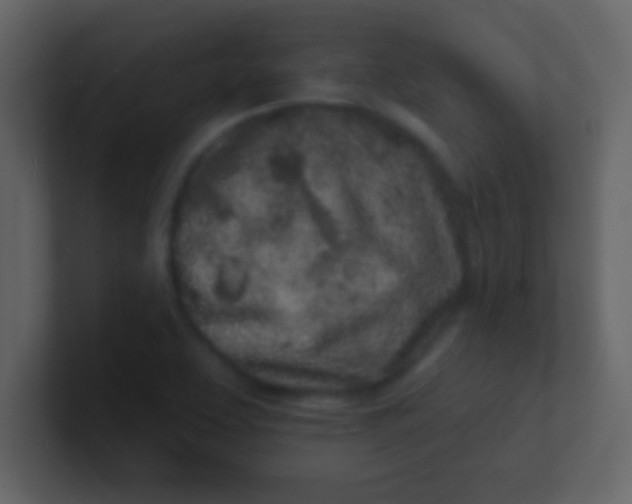 X0000100841463200807070923