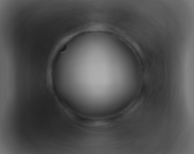 X0000100841464200807070923